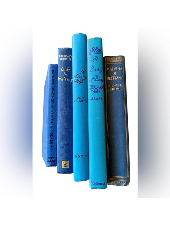 Other - Vintage Blue Hardcover Book Collection for Staging and Decor